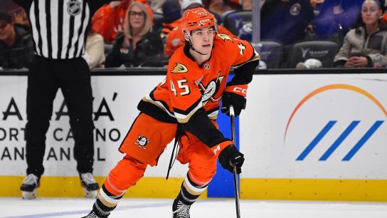 Anaheim Ducks clinch spot in 2026 Stanley Cup Playoffs (featured)